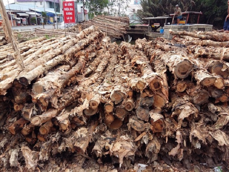 Nhận đào đóng cừ tràm